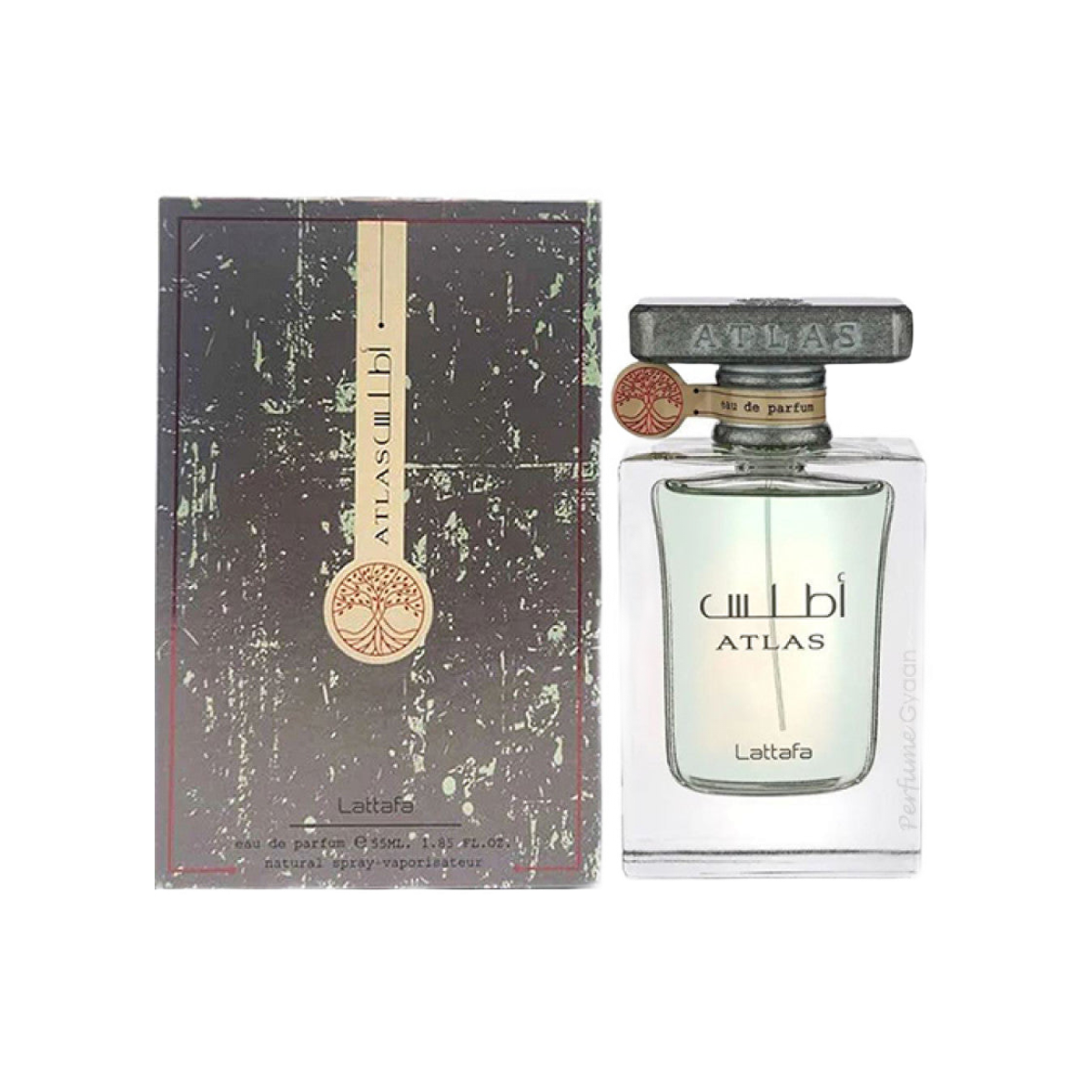 Atlas 50ml edp
