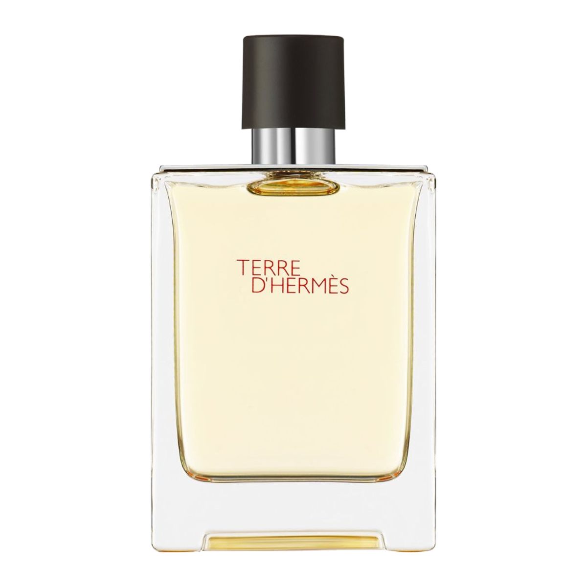 Terre d'Hermès 100ml edt